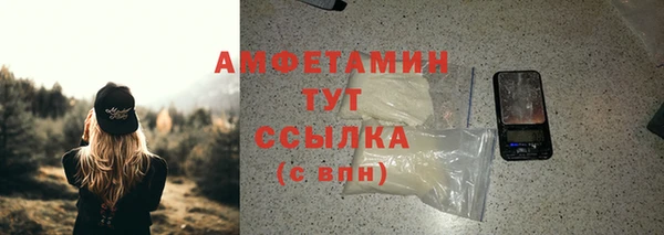 крисы Абаза