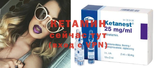 крисы Абаза