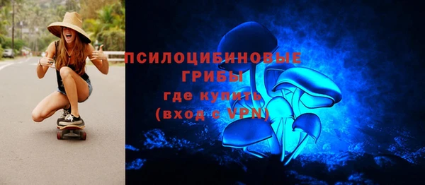 крисы Абаза