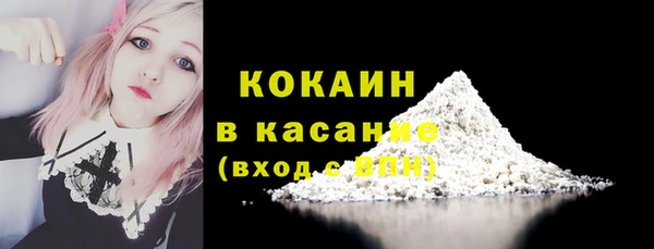 крисы Абаза