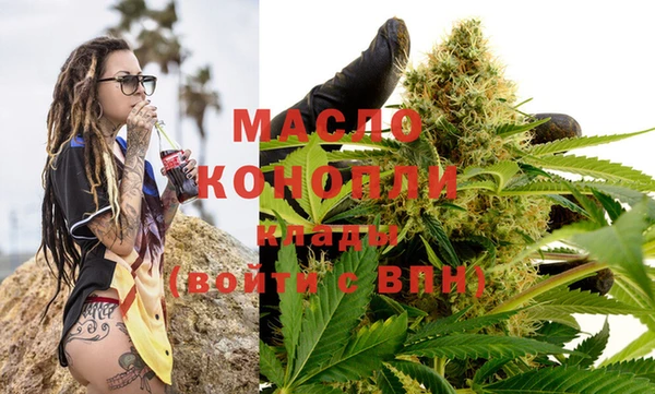 крисы Абаза