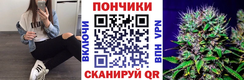 mega как войти  Мостовской  Бошки марихуана OG Kush 